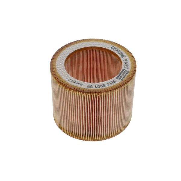 Filtre à air 1613900100